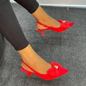 Ladies pointed toe heels.